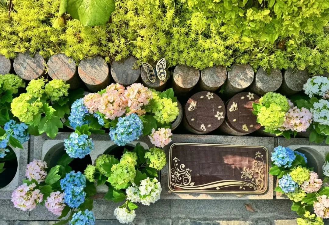 云顶集团(中国区)官方网站