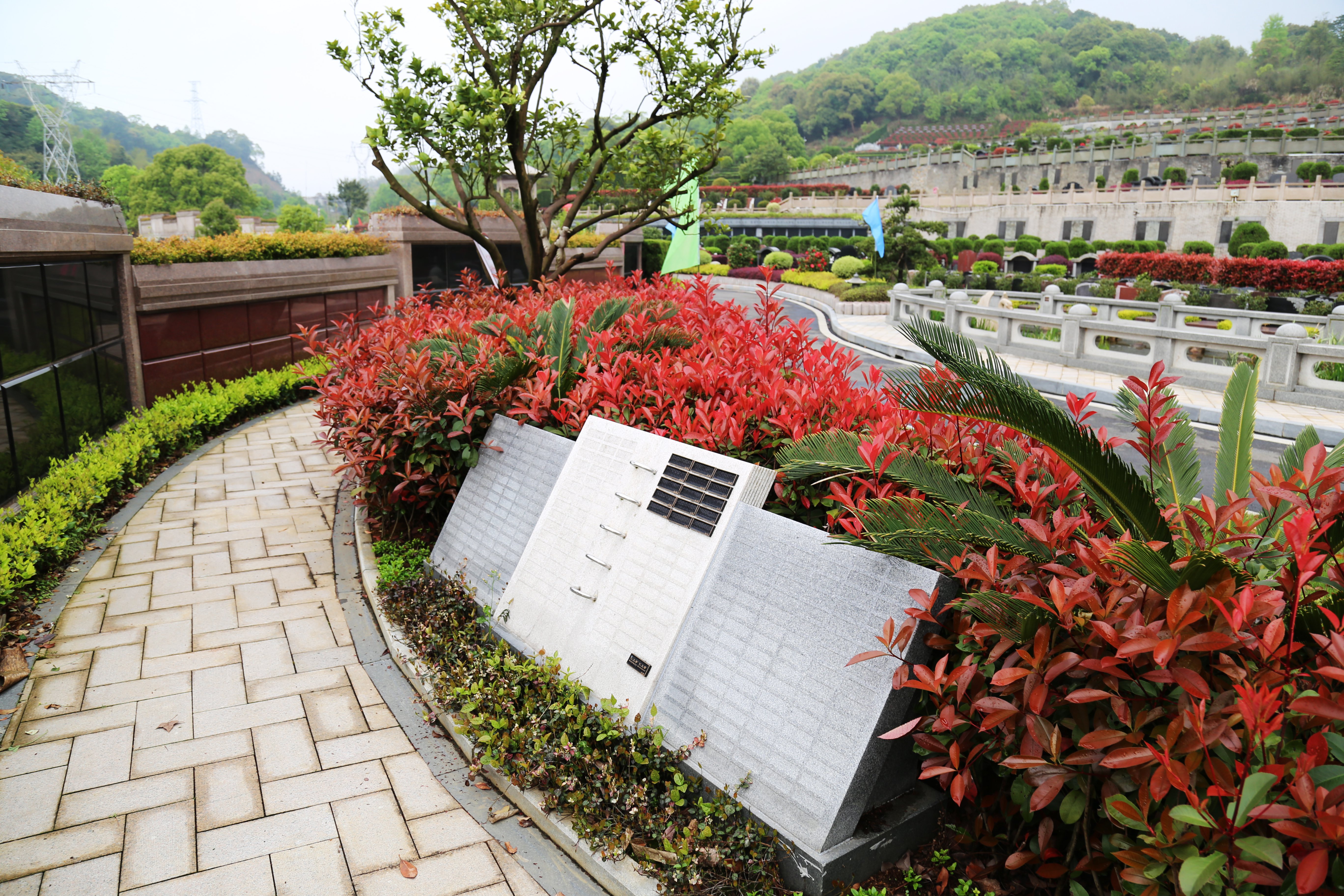 云顶集团(中国区)官方网站