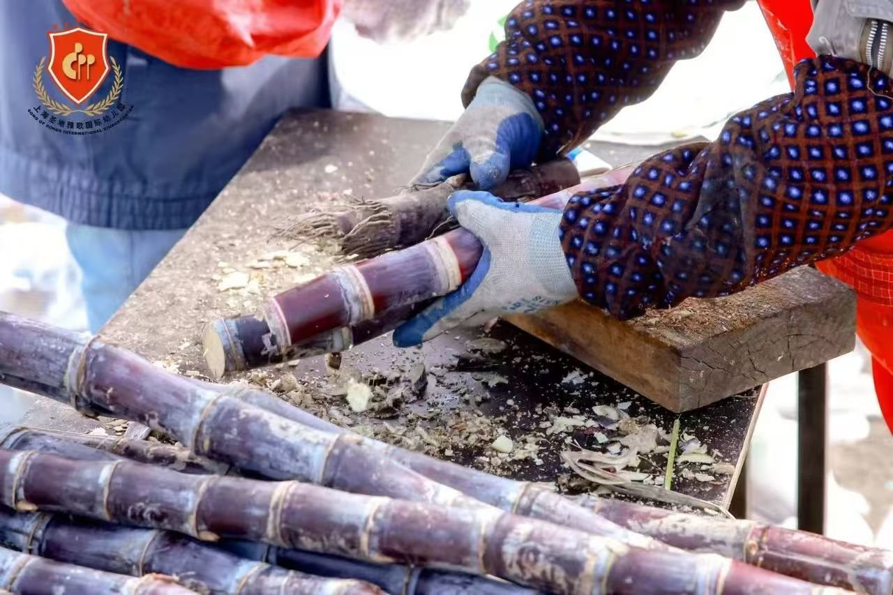 云顶集团(中国区)官方网站