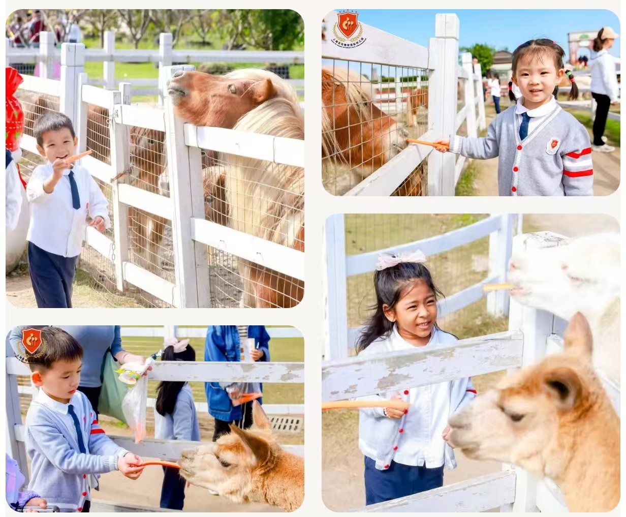 云顶集团(中国区)官方网站