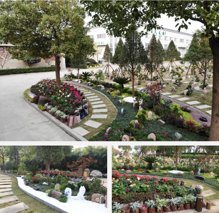 云顶集团(中国区)官方网站