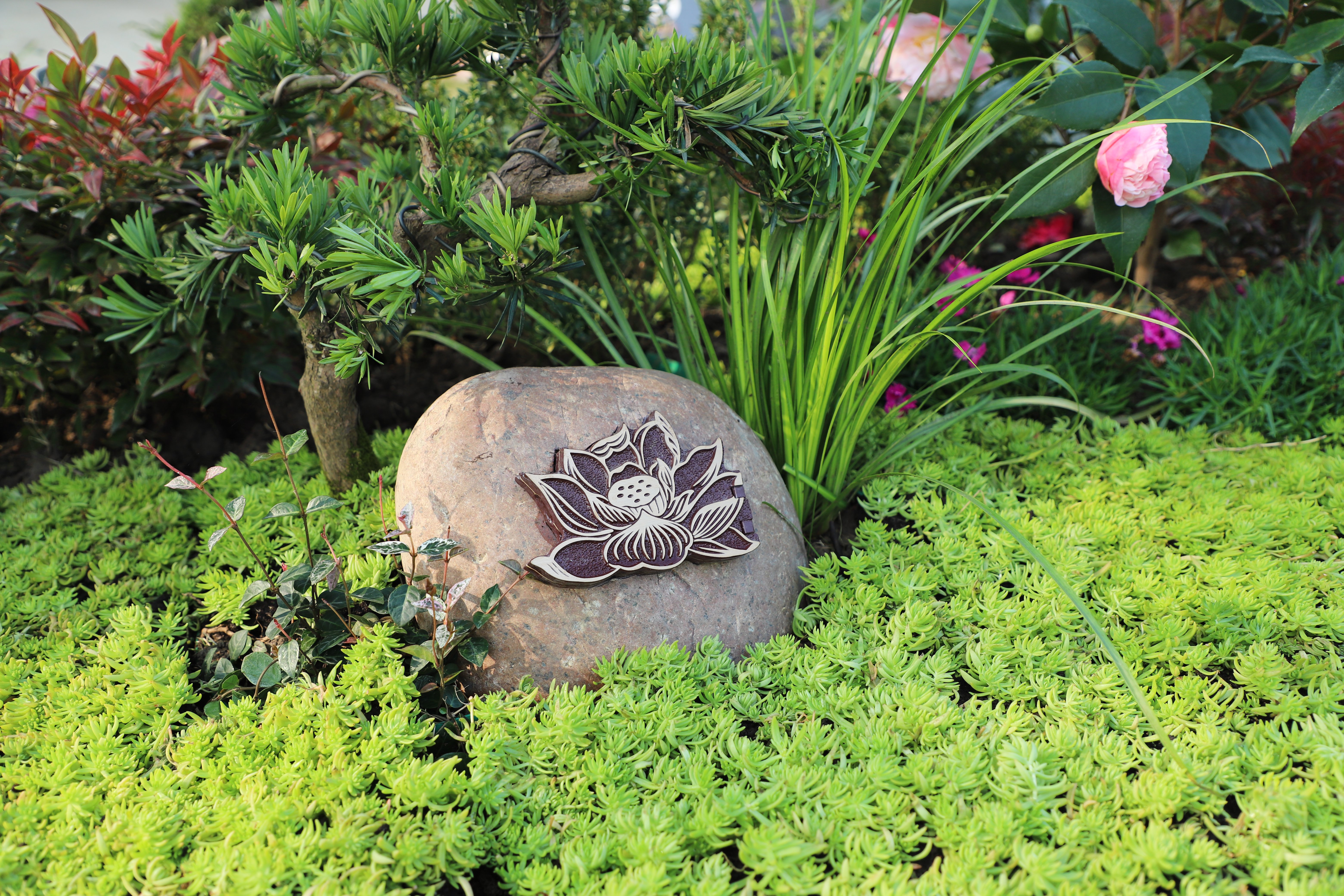 云顶集团(中国区)官方网站