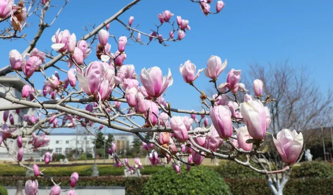 云顶集团(中国区)官方网站