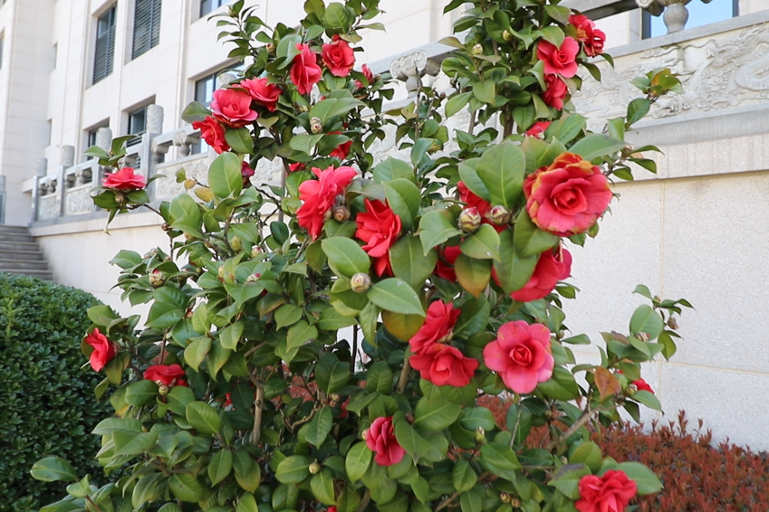 云顶集团(中国区)官方网站