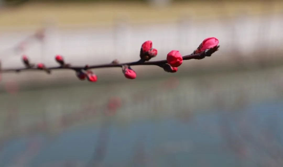 云顶集团(中国区)官方网站