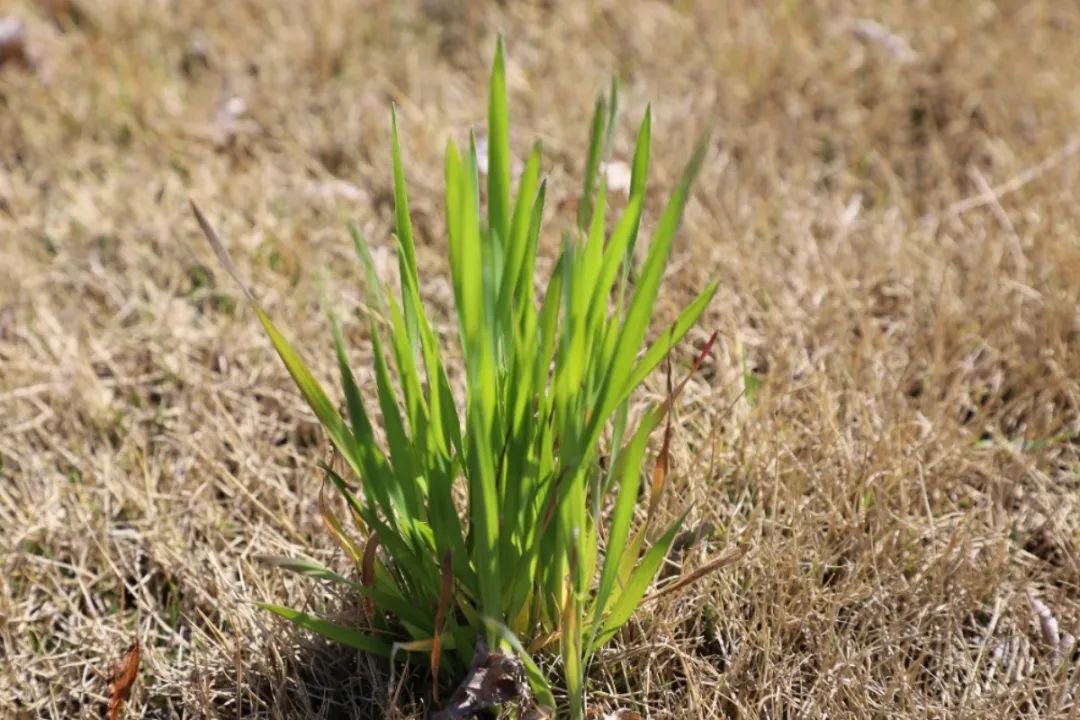云顶集团(中国区)官方网站