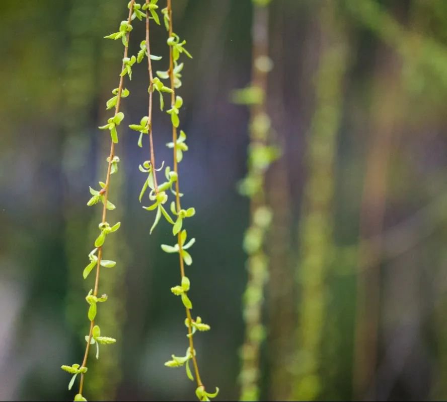 云顶集团(中国区)官方网站