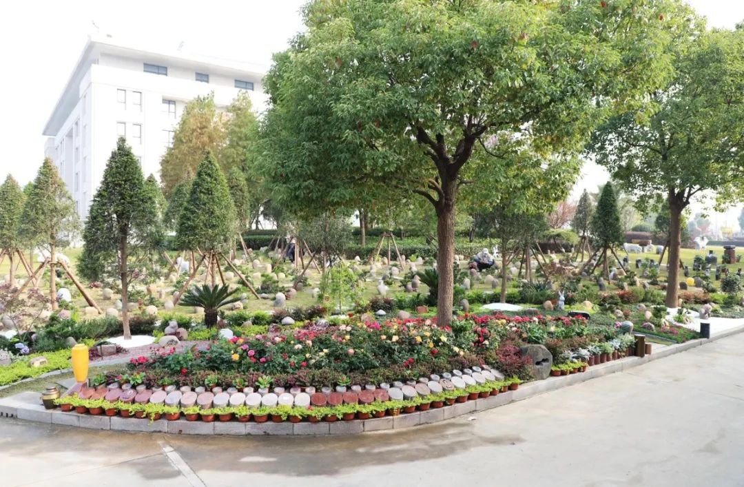 云顶集团(中国区)官方网站