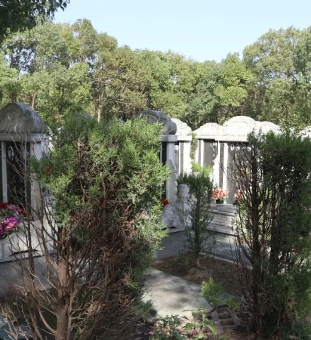 云顶集团(中国区)官方网站