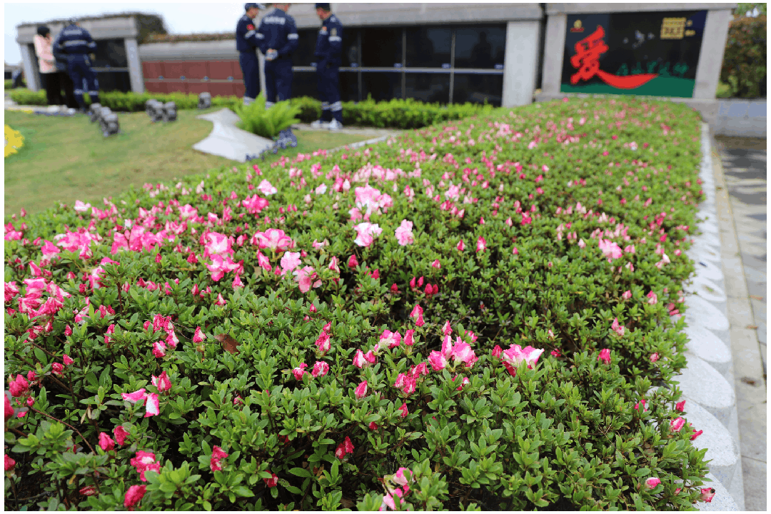 云顶集团(中国区)官方网站