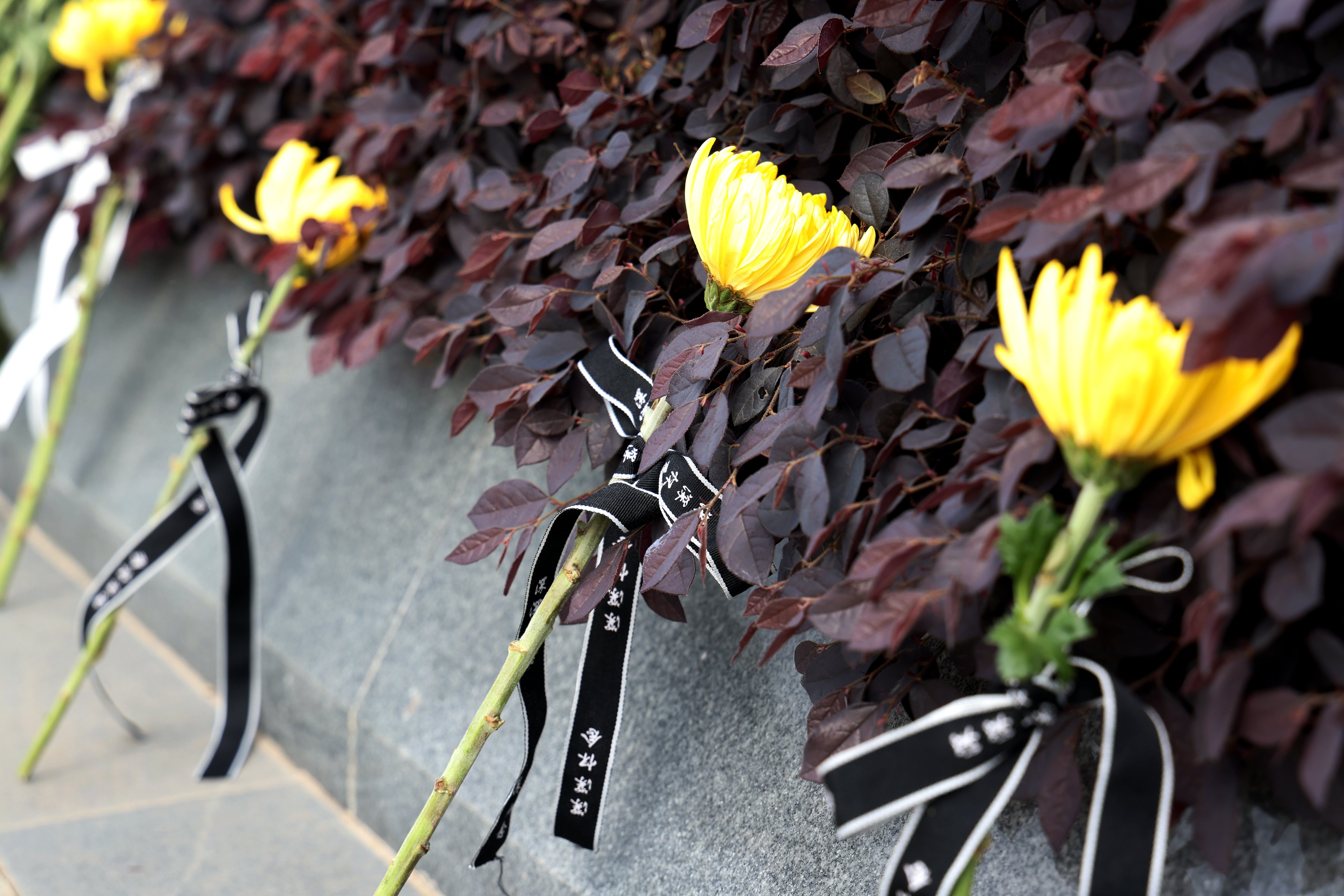 云顶集团(中国区)官方网站