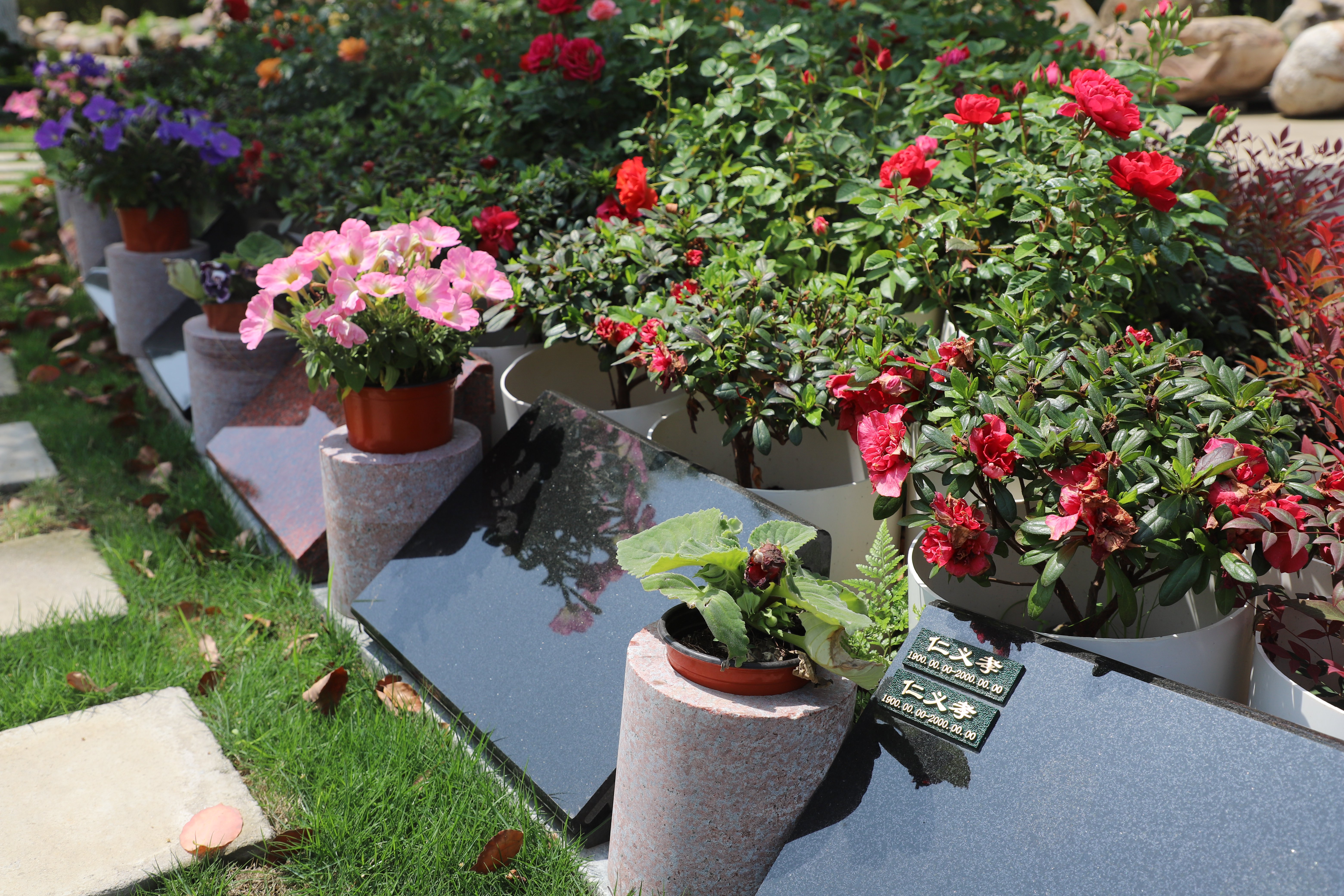 云顶集团(中国区)官方网站