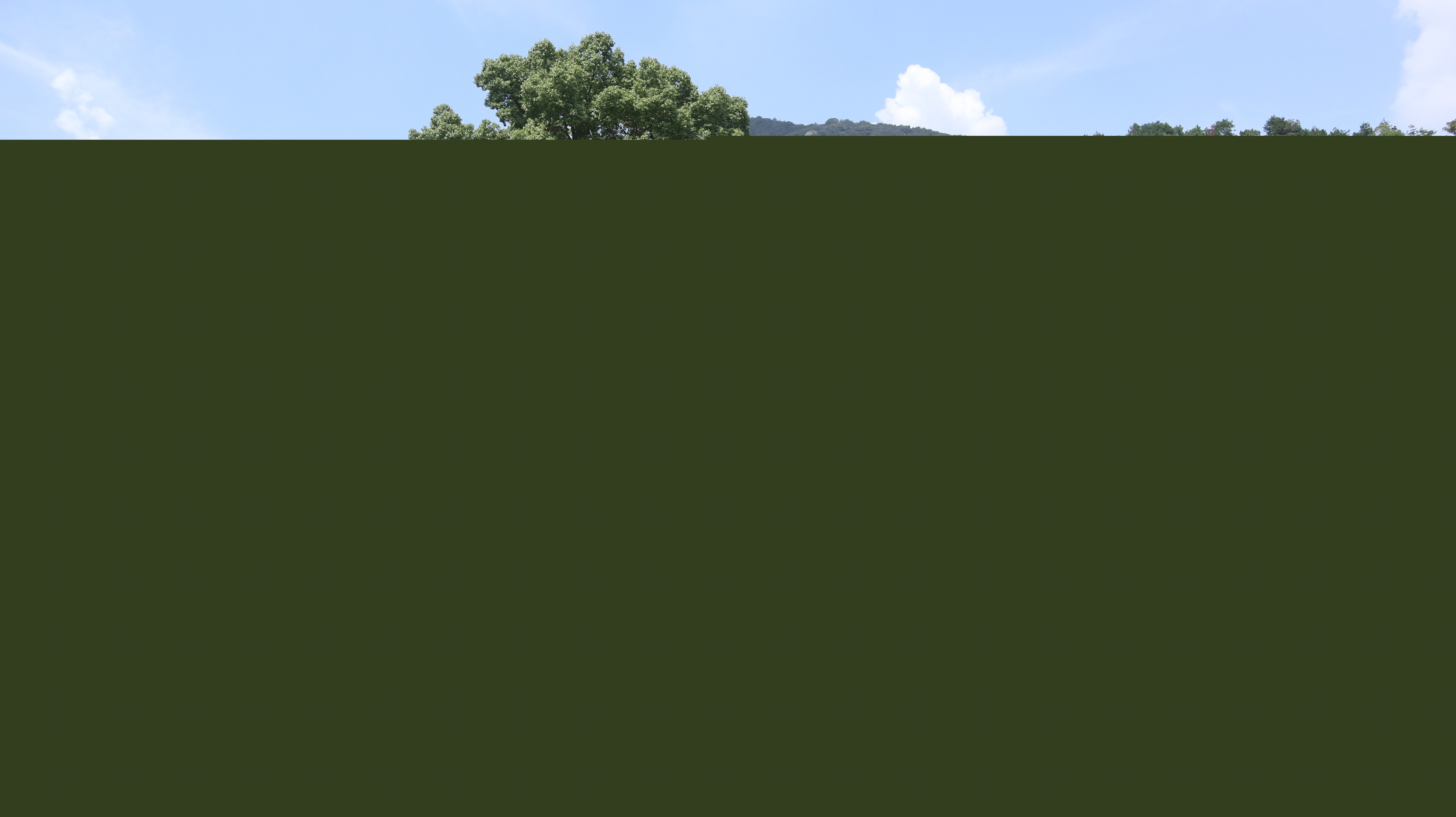 云顶集团(中国区)官方网站