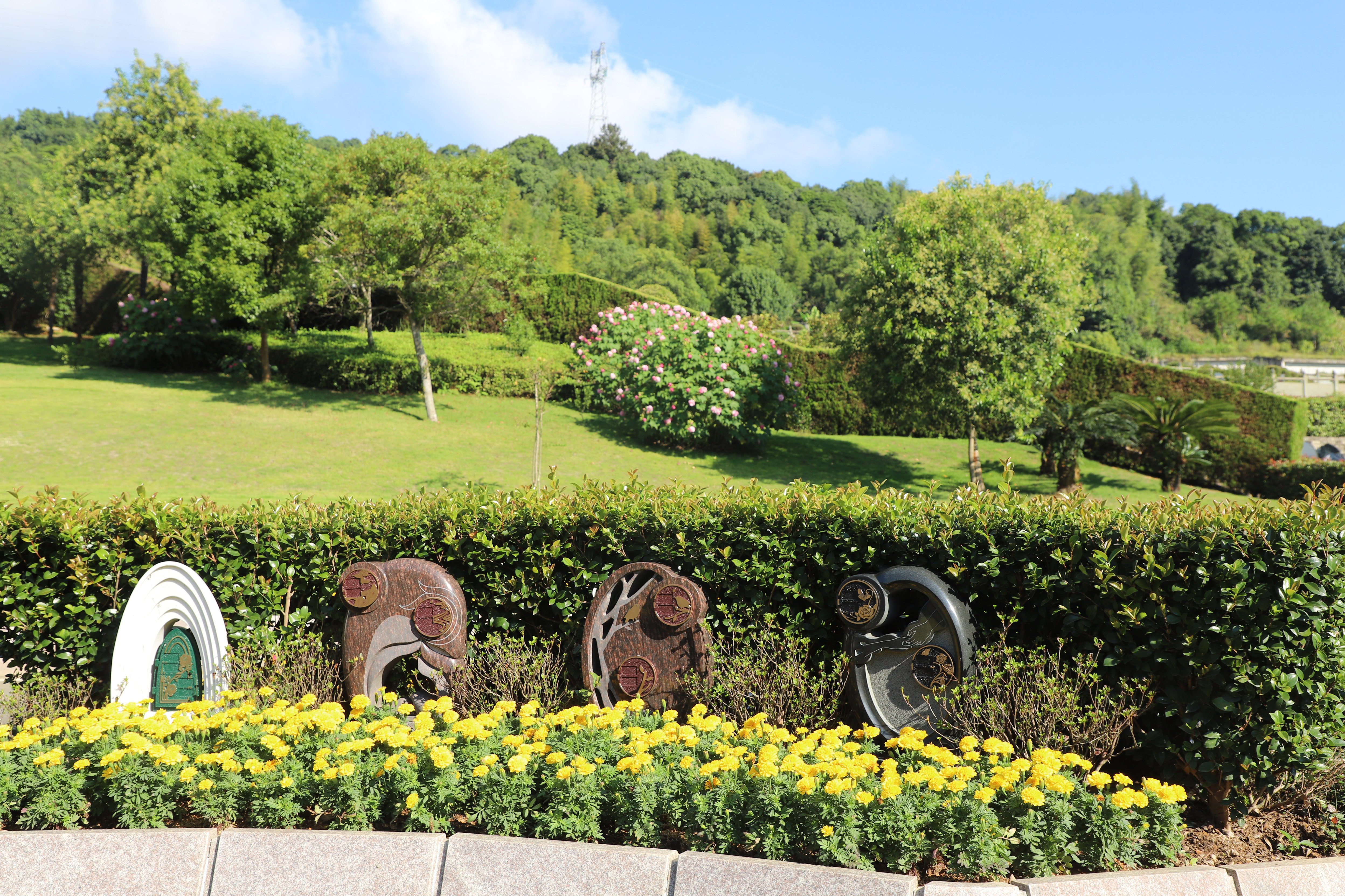 云顶集团(中国区)官方网站