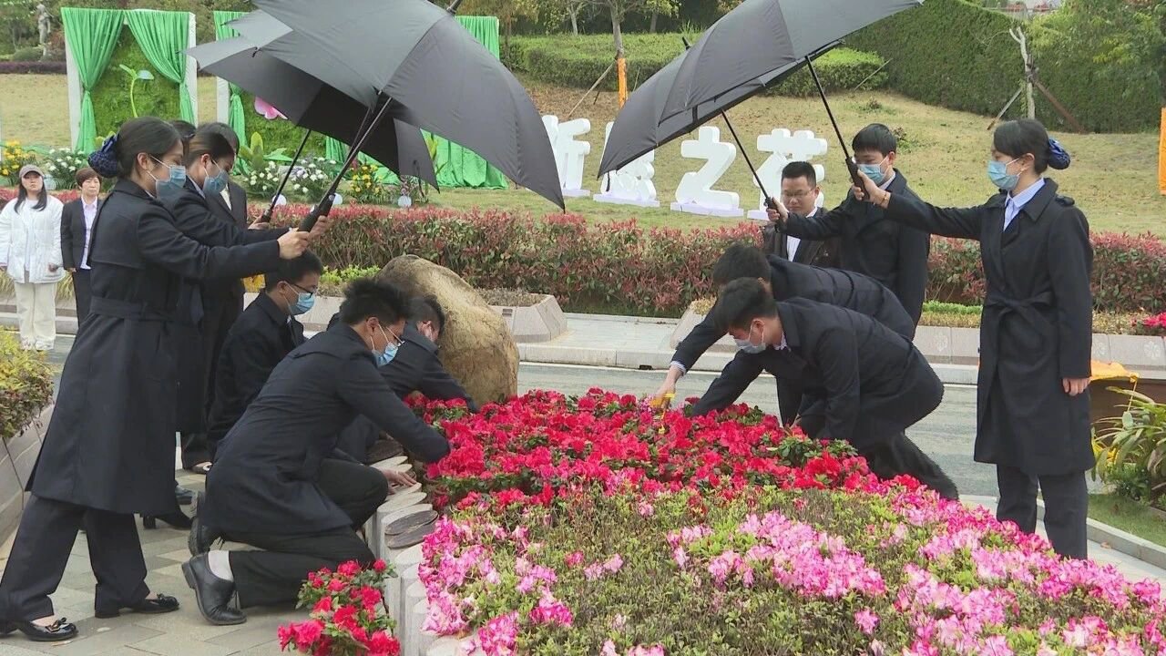 云顶集团(中国区)官方网站