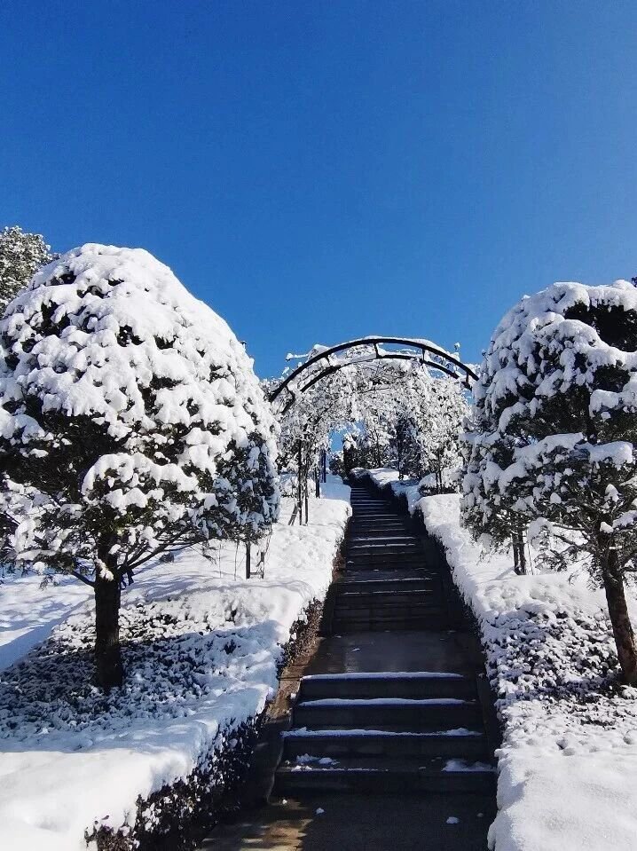 云顶集团(中国区)官方网站