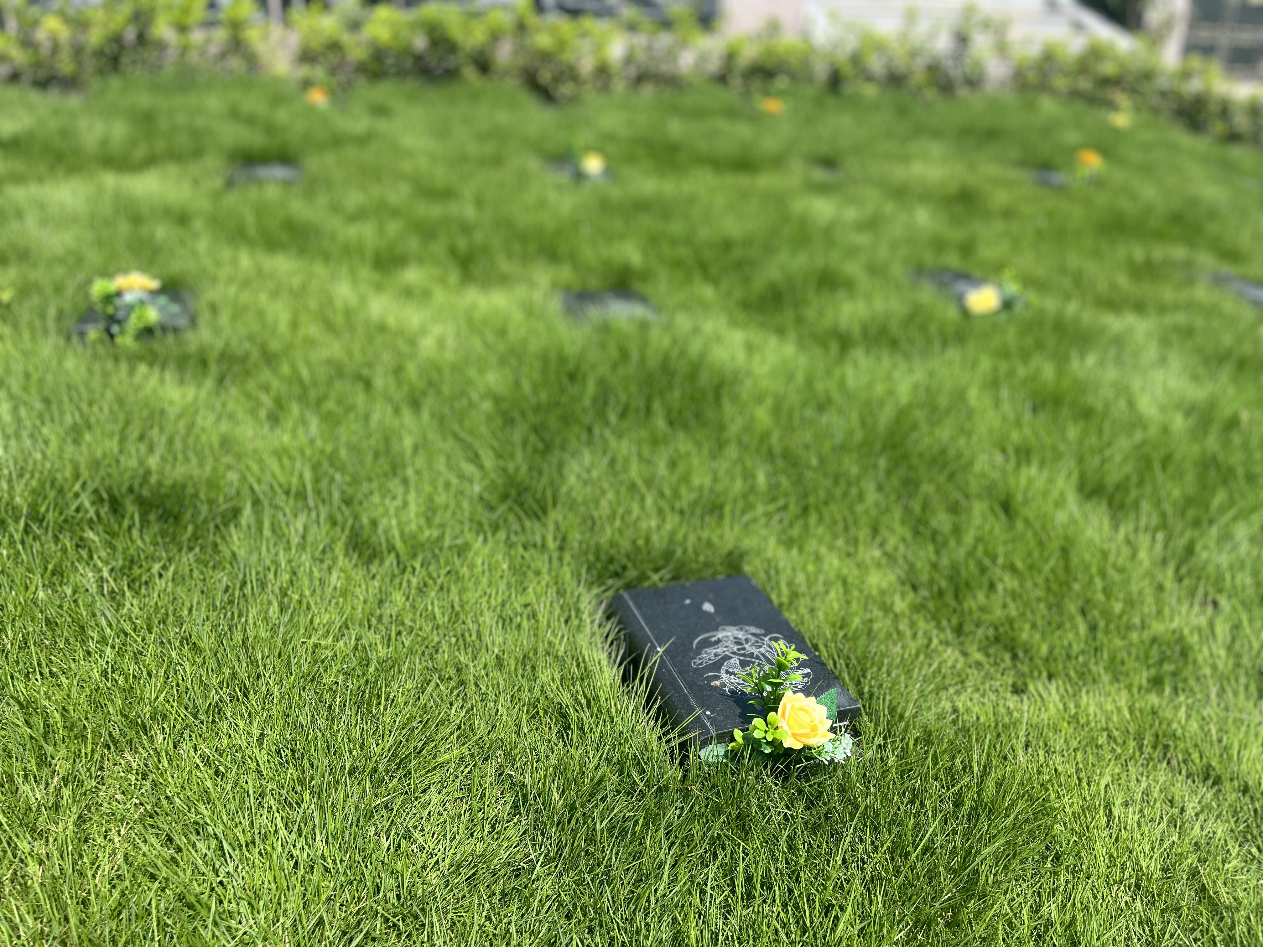 云顶集团(中国区)官方网站