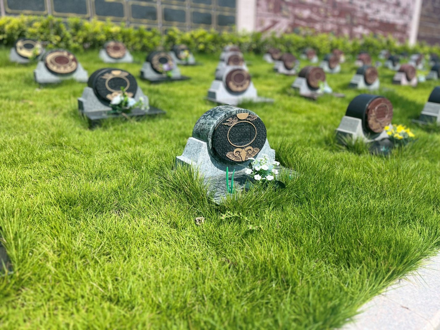 云顶集团(中国区)官方网站