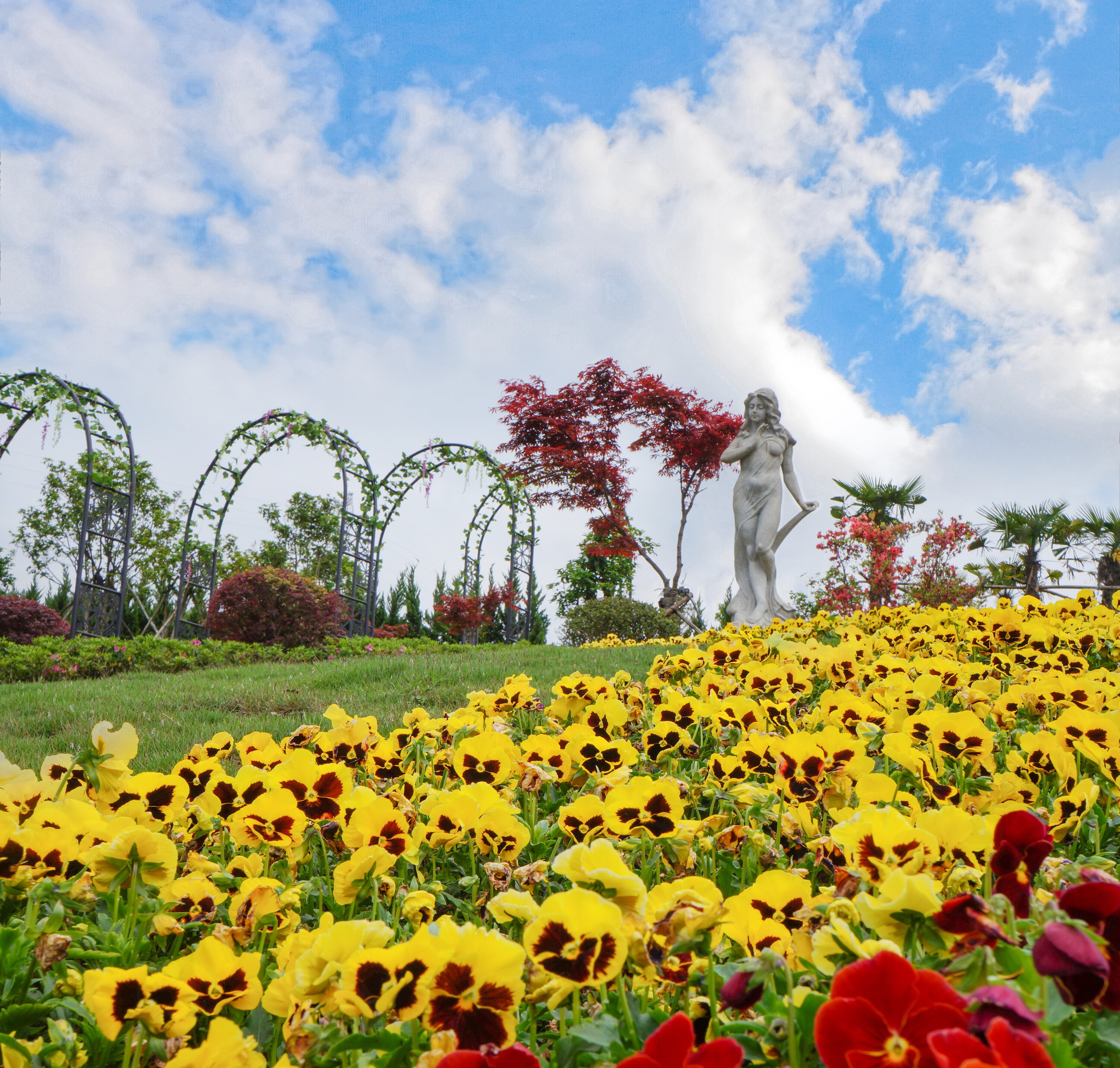 云顶集团(中国区)官方网站
