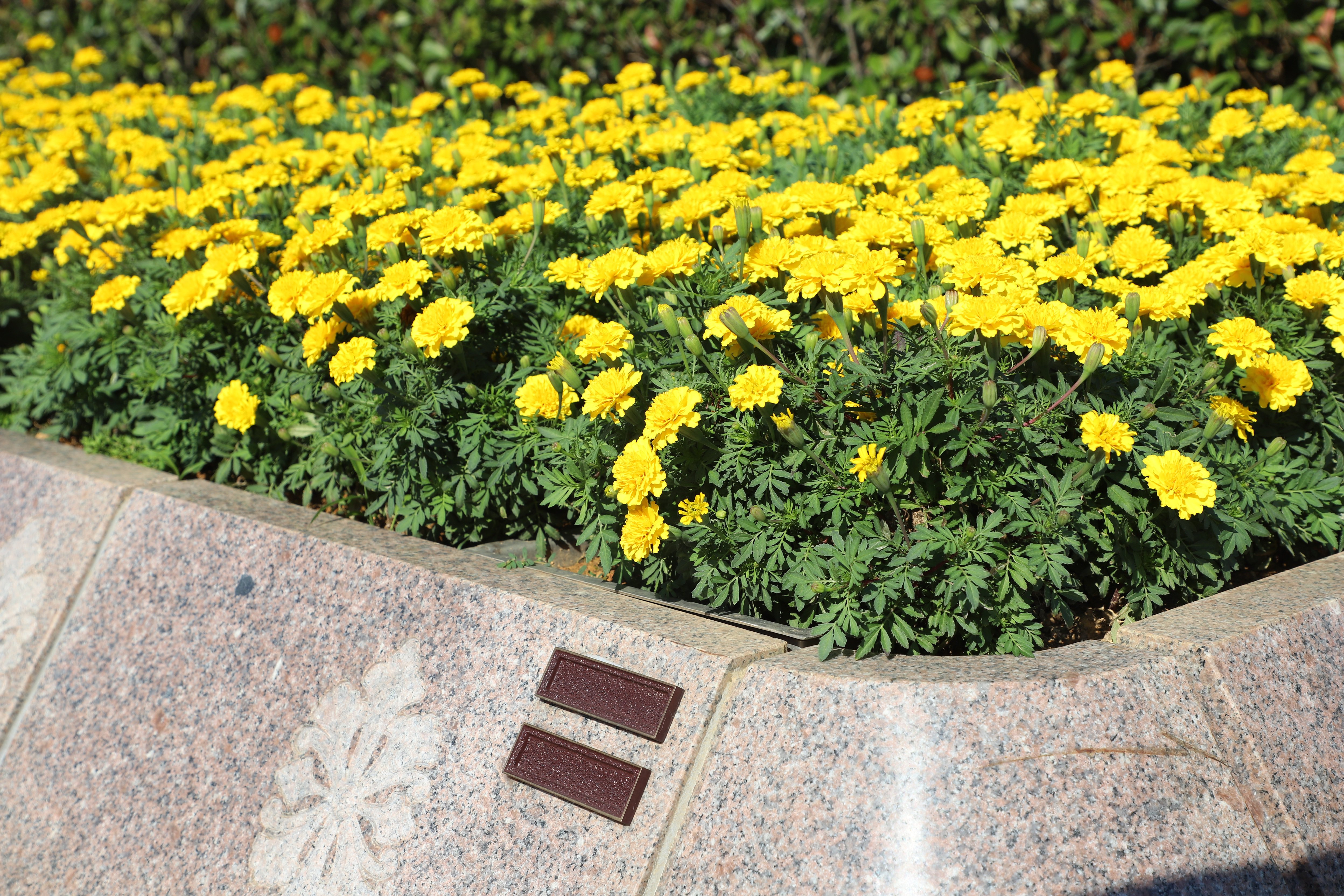 云顶集团(中国区)官方网站